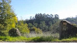 Terreno de 64 000 m² em Coimbra