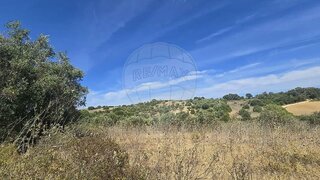 Land for sale in Torres Novas, Portugal — €8,750