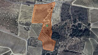 Land for sale in São João da Pesqueira, Portugal — €40,000