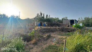 Terreno em Castelo Branco · 1234 m² · 30 000 €
