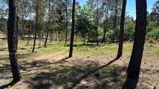 Terreno de 2260 m² em Viseu