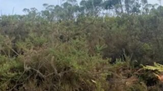 Terreno em Ourém