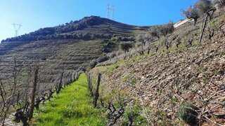 Terreno em Tabuaço