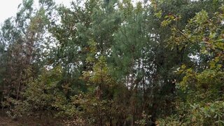 Land for sale in Seia, Portugal — €34,000