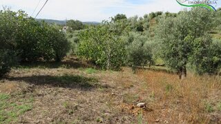 Land for sale in Sertã, Portugal — €12,500