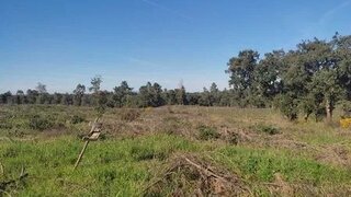 Land for sale in Alpiarça, Portugal — €20,000