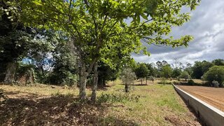 Terreno de 7000 m² em Viseu