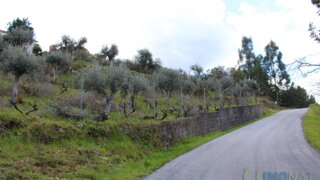 Land for sale in Oleiros, Portugal — €17,000