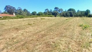 Terreno de 10 000 m² em Santarém