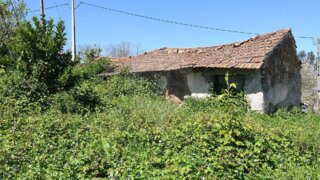 Land for sale in Ferreira do Zêzere, Portugal — €41,000