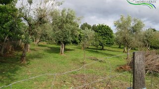 Land for sale in Sertã, Portugal — €56,000