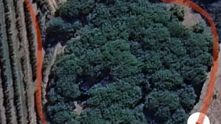 Terreno · 350 000 m² · 12 000 €