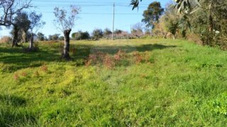 Land for sale in Ferreira do Zêzere, Portugal — €39,500