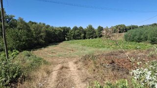 Terreno em Pinhel