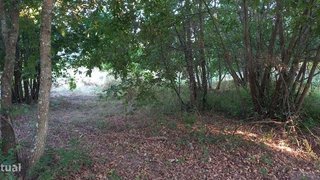 Terreno · 650 m² · 3750 €