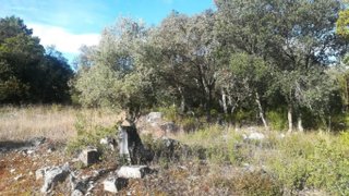 Terreno em Ourém · 2000 m² · 30 000 €