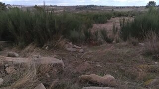 Land for sale in Mêda, Portugal — €20,000