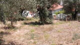 Land for sale in Ourém, Portugal — €37,500