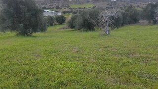 Terreno para venda em Torres Novas, Portugal — 20 500 €