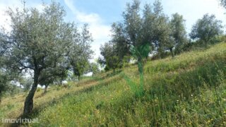 Land for sale in Penedono, Portugal — €23,000