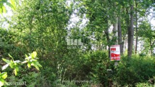 Land for sale in Abrantes, Portugal — €15,900