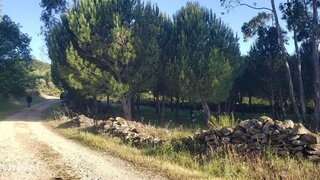 Terreno em Penalva do Castelo