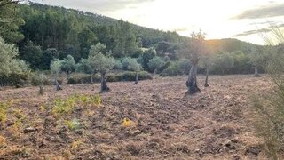 Land for sale in Idanha-a-Nova, Portugal — €30,000
