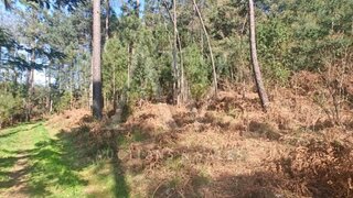 Terreno em Sátão