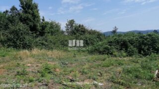 Terreno em Abrantes
