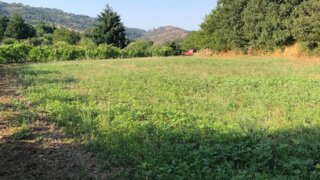 Terreno para venda em Fornos de Algodres, Portugal — 34 950 €