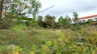 Terreno de 1600 m² em Viseu