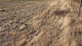 Terreno em Castelo Branco · 24 000 m² · 70 000 €