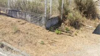 Land for sale in Celorico da Beira, Portugal — €500,000