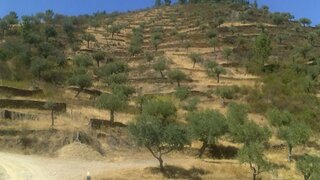 Land for sale in Vila Velha de Ródão, Portugal — €24,575