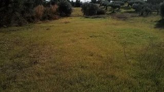 Land for sale in Tomar, Portugal — €30,000