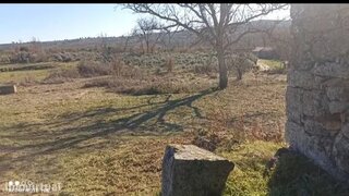 Terreno de 2000 m² em Guarda