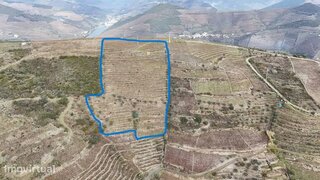 Land for sale in Tabuaço, Portugal — €100,000