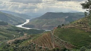 Land for sale in Armamar, Portugal — €170,000