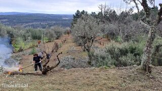 Terreno · 1700 m² · 3400 €
