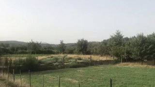 Land for sale in Moimenta da Beira, Portugal — €150,000