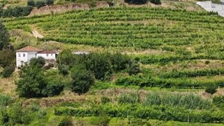 Land for sale in Resende, Portugal — €385,000
