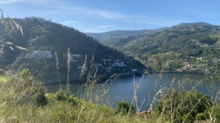 Land for sale in Resende, Portugal — €260,000