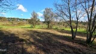 Terreno em Nelas