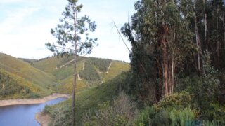 Land for sale in Oleiros, Portugal — €18,000