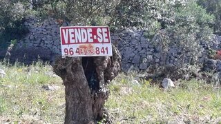 Land for sale in Alcanena, Portugal — €5,500