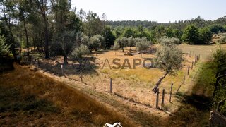 Grond · 1.850 m² · € 9.950
