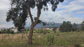 Terreno em Torres Novas · 14 000 m² · 50 000 €