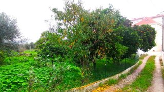 Terreno em Coimbra · 220 m² · 75 000 €