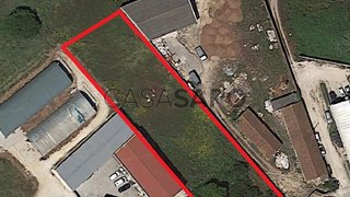 Terreno em Alcobaça · 2700 m² · 120 000 €