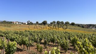 Land for sale in Torres Novas, Portugal — €185,000